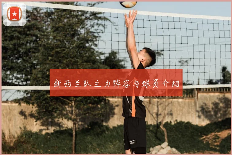 新西兰队主力阵容与球员介绍