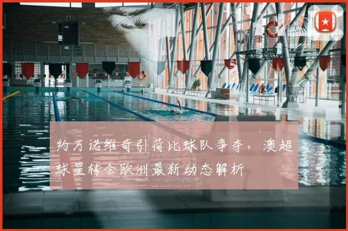 约万诺维奇引荷比球队争夺，澳超球星转会欧洲最新动态解析