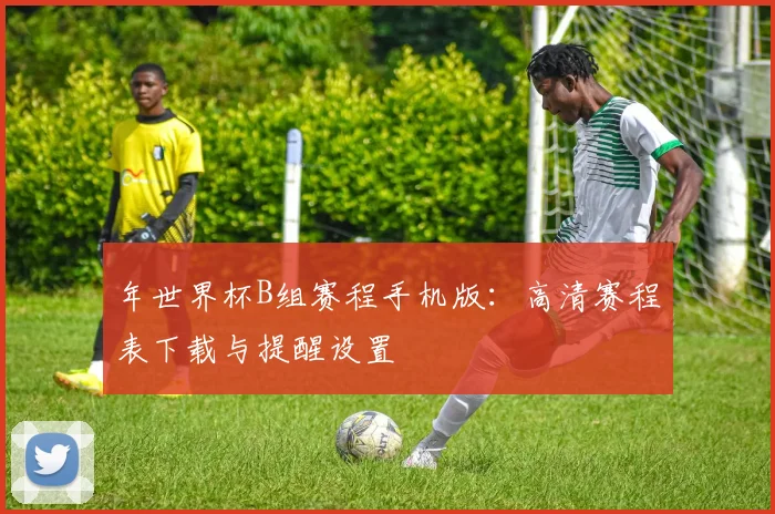 年世界杯B组赛程手机版:高清赛程表下载与提醒设置